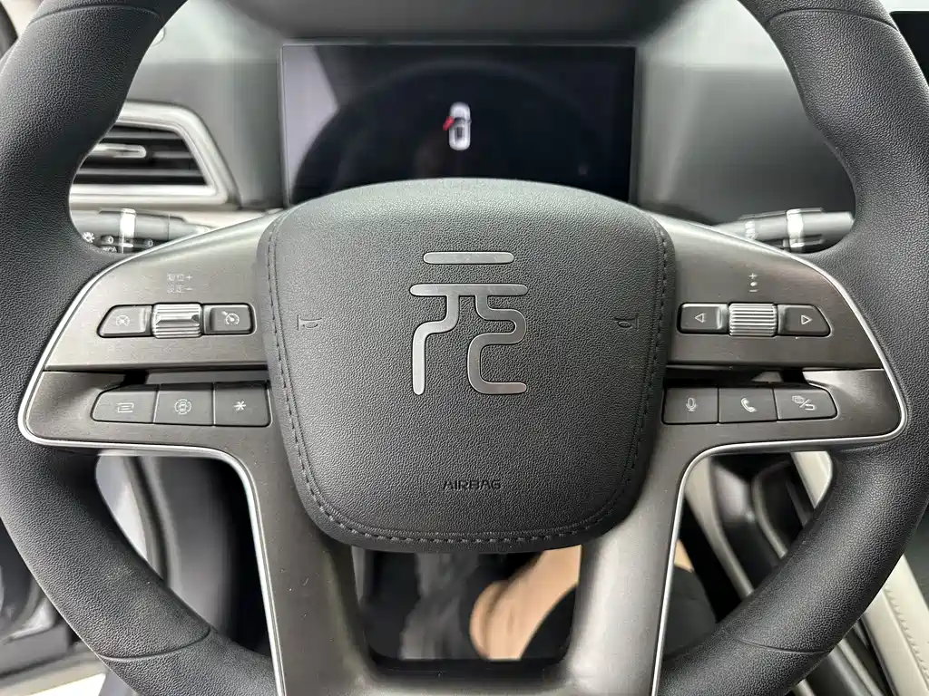 Yuan UP 2024 Model 401KM Vitality Edition