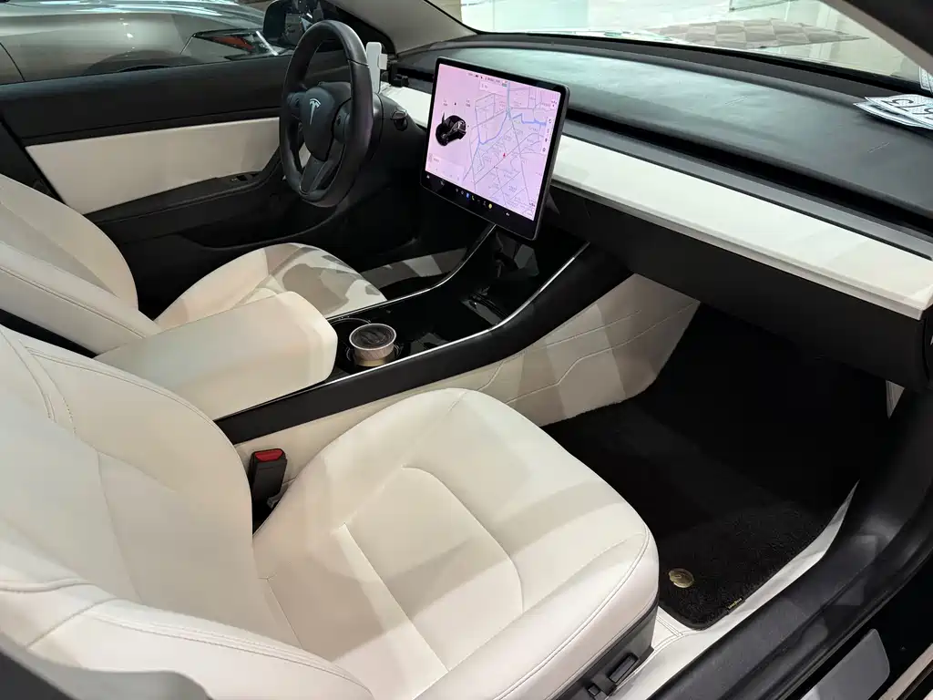 Model 3 Long Range All-Wheel Drive 2019 Import Edition