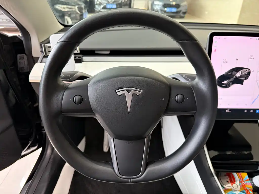 Model 3 Long Range All-Wheel Drive 2019 Import Edition