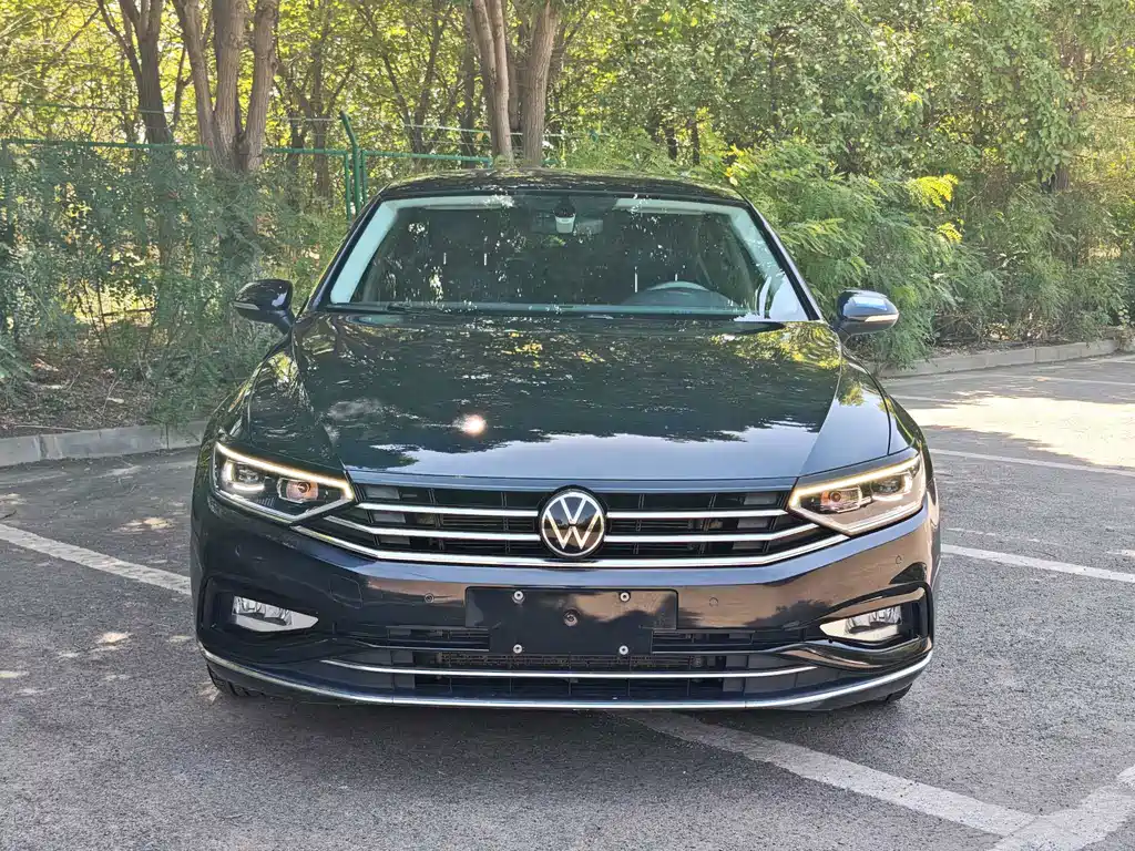 Magotan 2020 330TSI DSG Luxury Edition