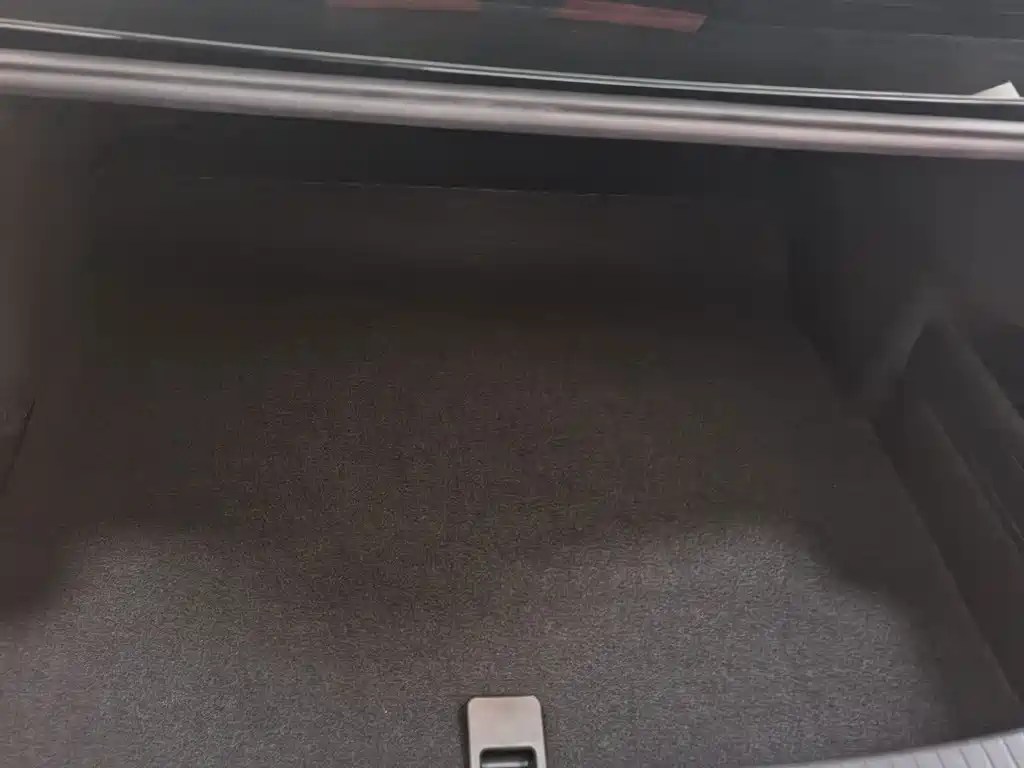 Magotan 2020 330TSI DSG Luxury Edition