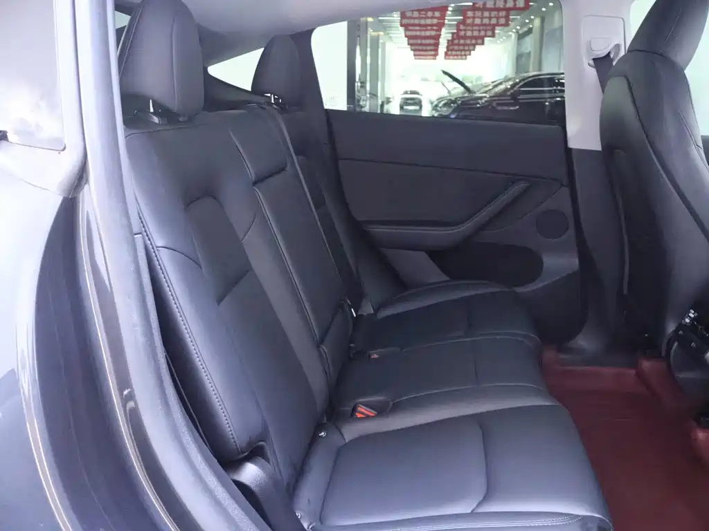 Model Y 2024 Rear-Wheel Drive Edition