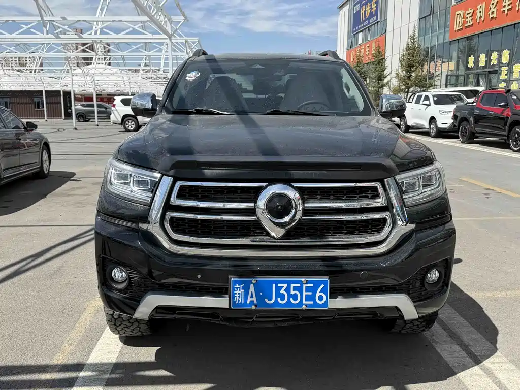 Polo 2023 2.0T Luxury Edition Automatic Gasoline 4WD Gw4c20b