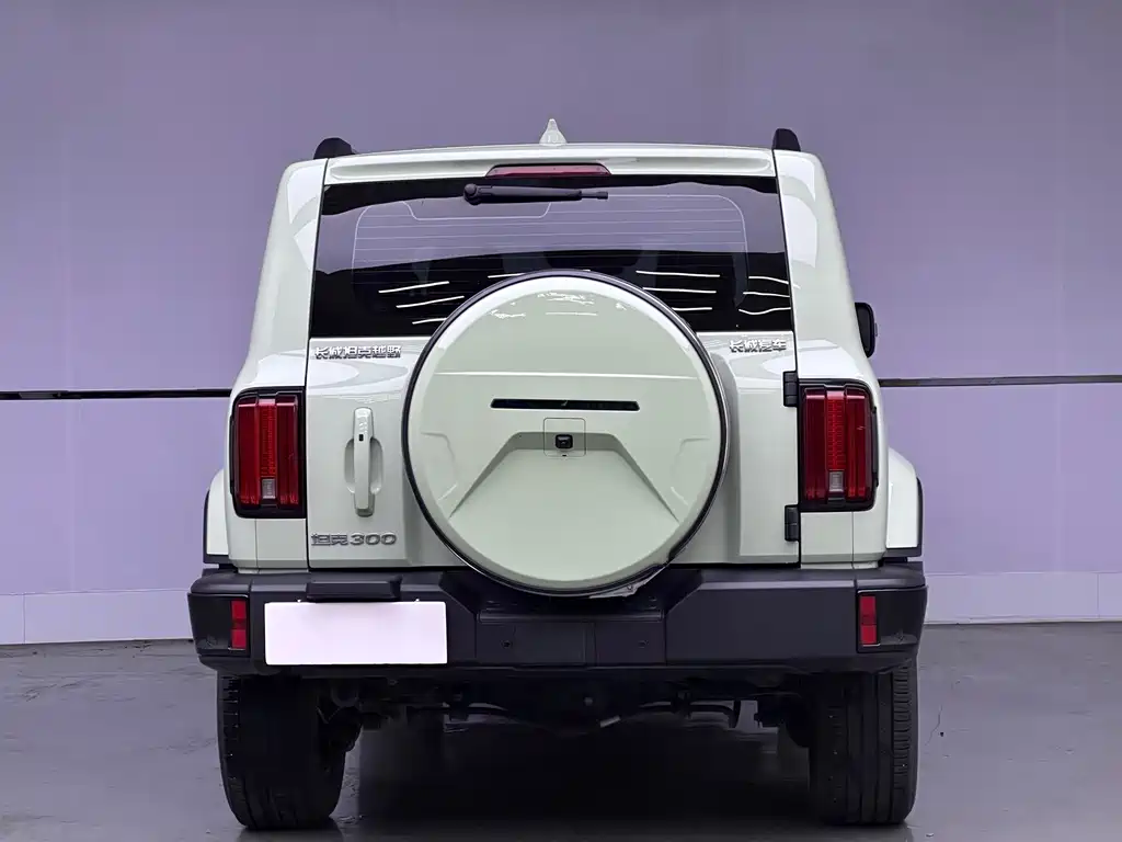 TANK 300 2024 Model 2.0T Explorer