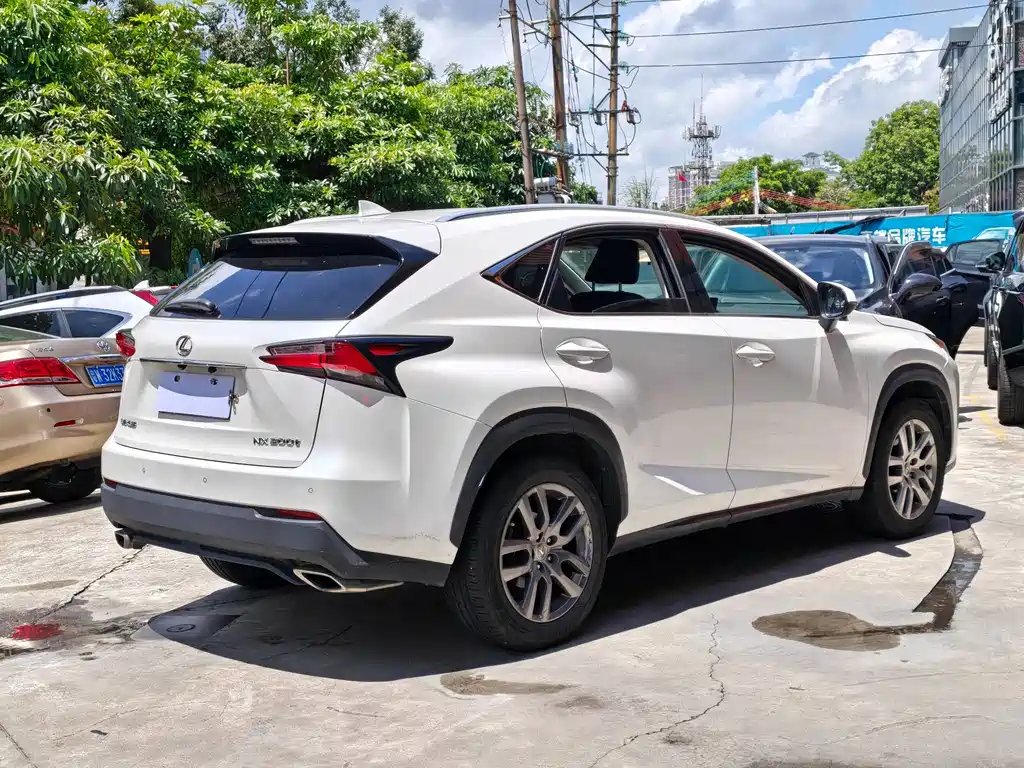 Lexus NX 2015 200t All-Wheel Drive Fengshang Edition