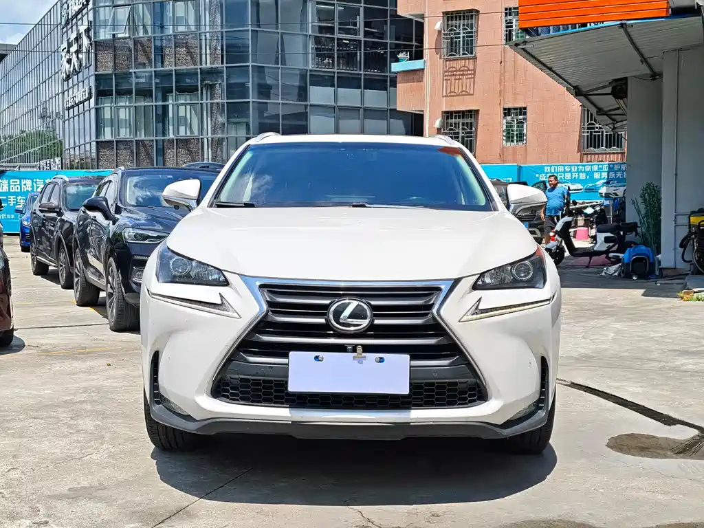Lexus NX 2015 200t All-Wheel Drive Fengshang Edition