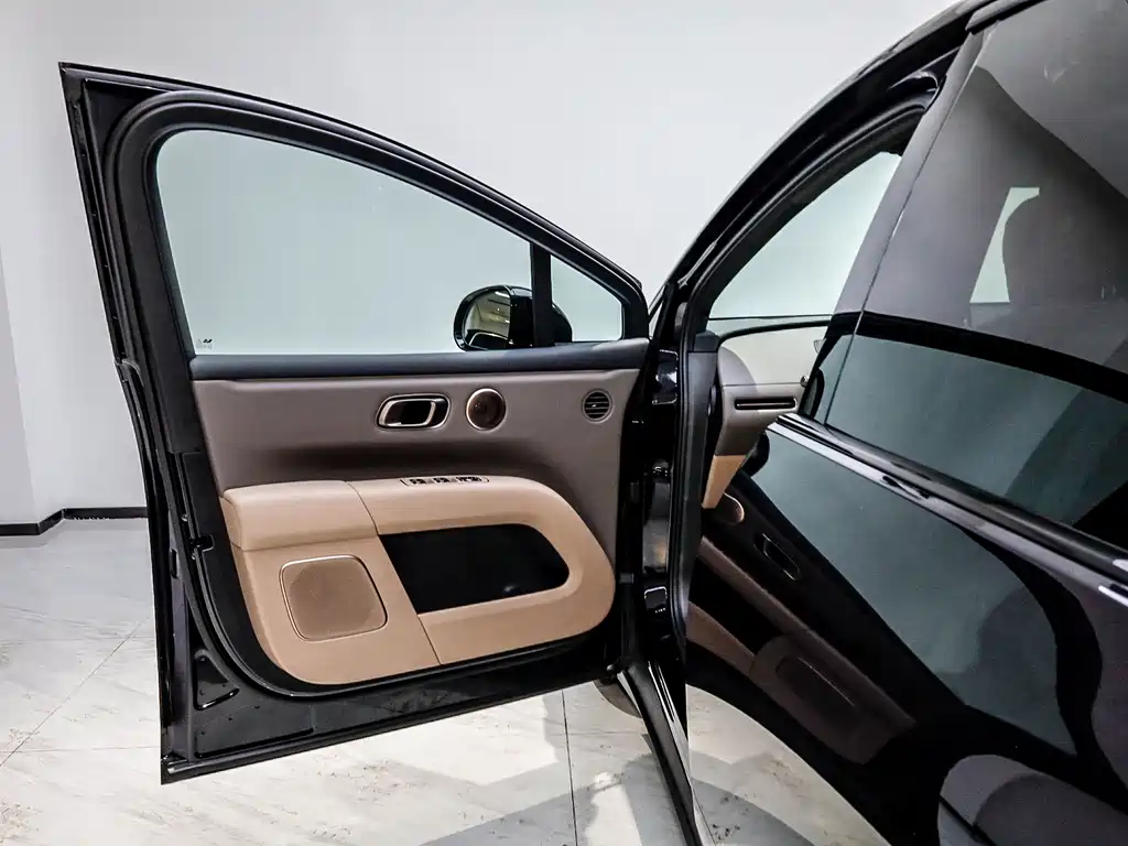 Lemon i6 2025 Model Two-wheel-drive Standard Edition