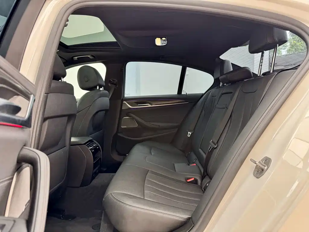 BMW 5 Series Import 2021 530i M Sport Package