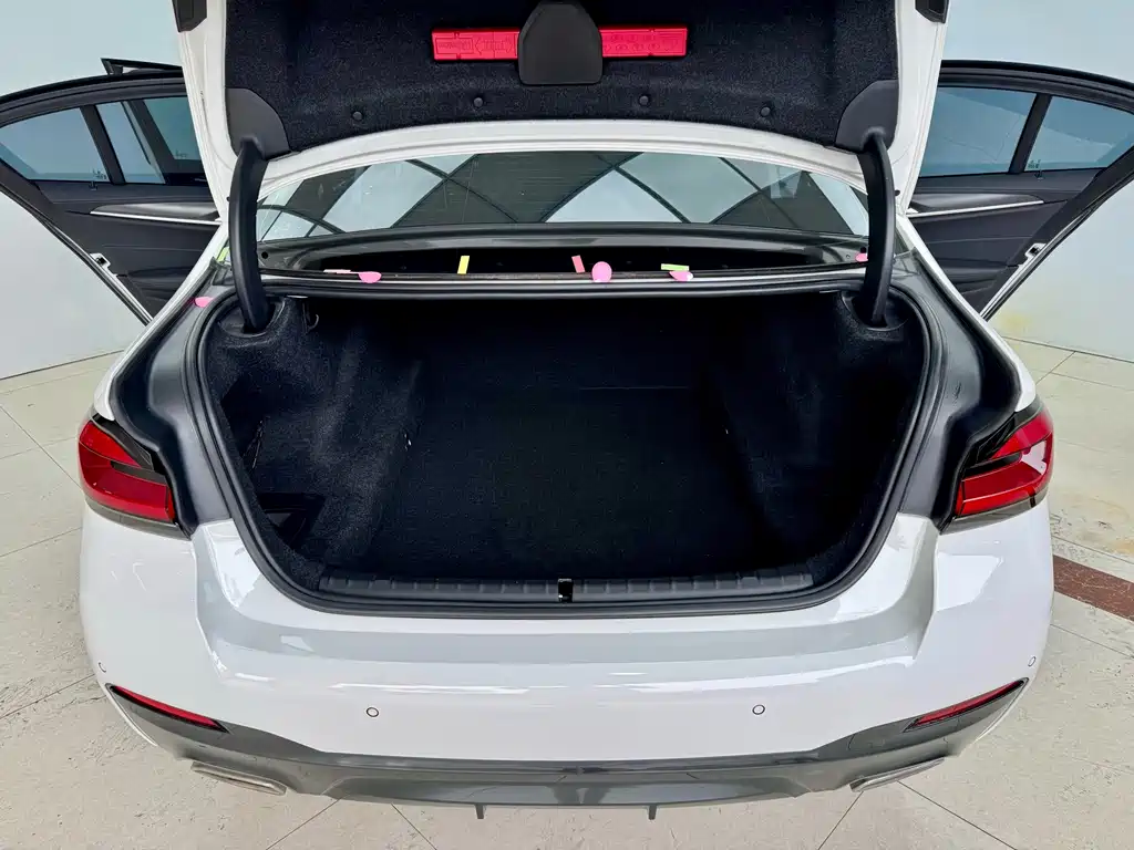 BMW 5 Series Import 2021 530i M Sport Package