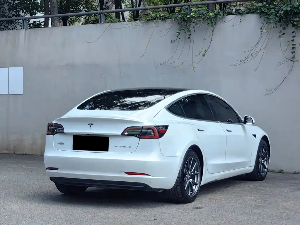 Model 3 Long Range Rear-Wheel Drive Upgrade 2020