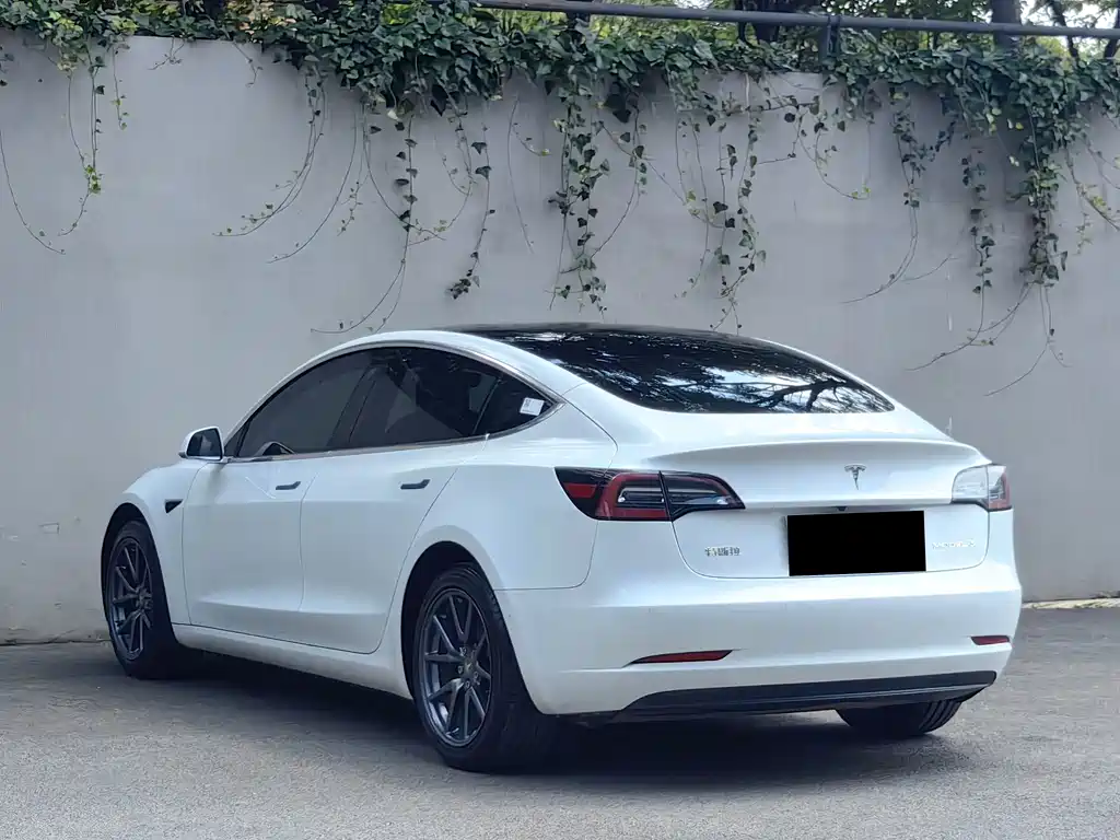 Model 3 Long Range Rear-Wheel Drive Upgrade 2020