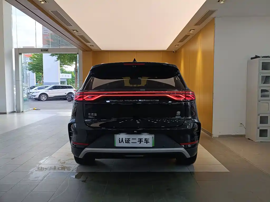 Tang New Energy 2025 Model Intelligent Driving Edition DM-i 115KM Flagship Type
