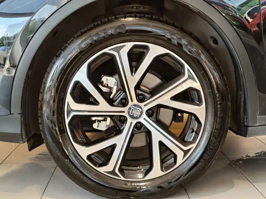 Tang New Energy 2025 Model Intelligent Driving Edition DM-i 115KM Flagship Type