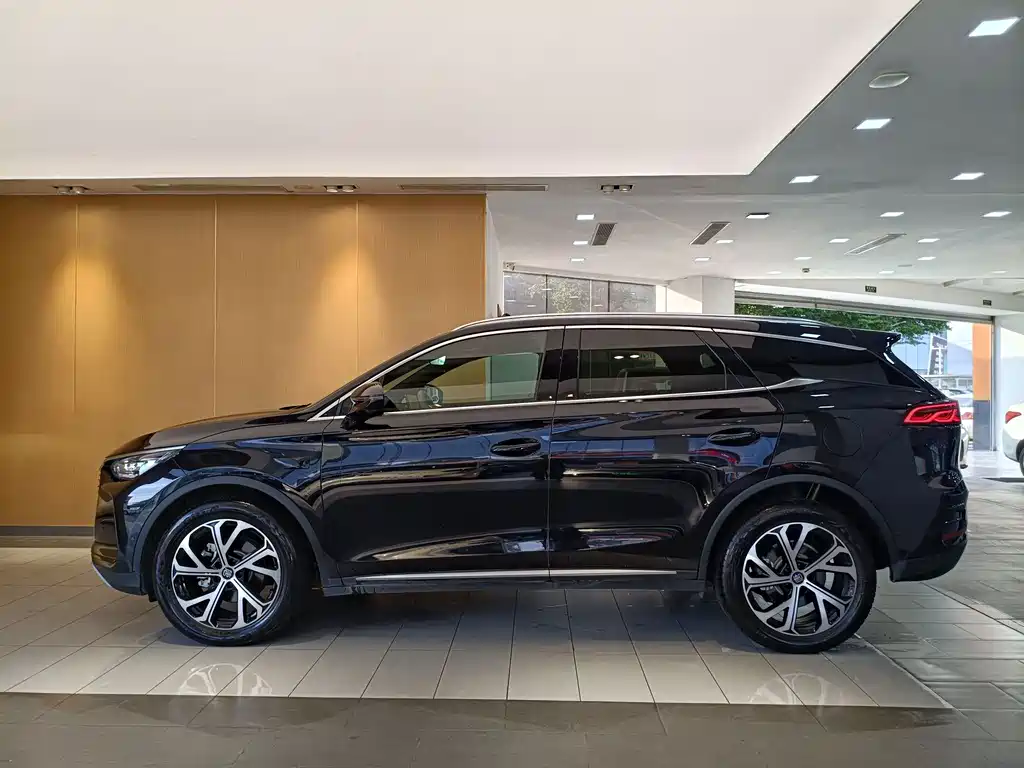 Tang New Energy 2025 Model Intelligent Driving Edition DM-i 115KM Flagship Type