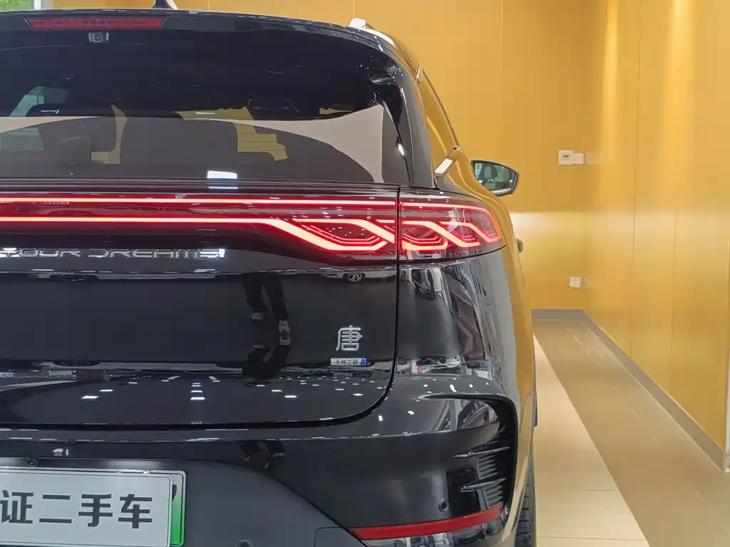 Tang New Energy 2025 Model Intelligent Driving Edition DM-i 115KM Flagship Type