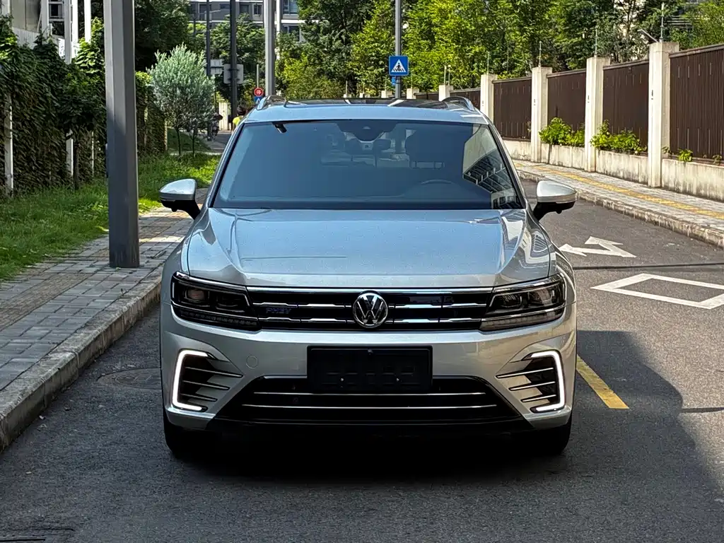 Tiguan L PHEV 2020 430 PHEV Plug-in Hybrid Flagship Edition