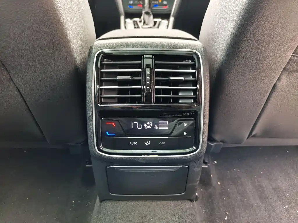 Magotan 2020 330TSI DSG Luxury Edition