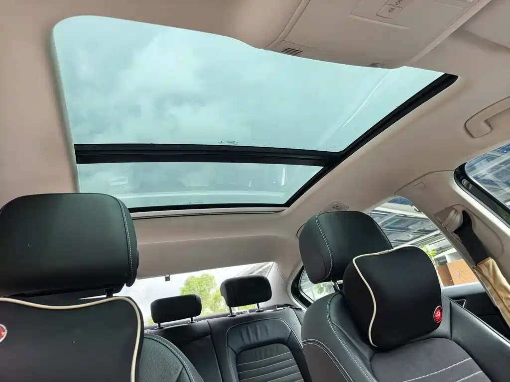 Magotan 2020 330TSI DSG Luxury Edition