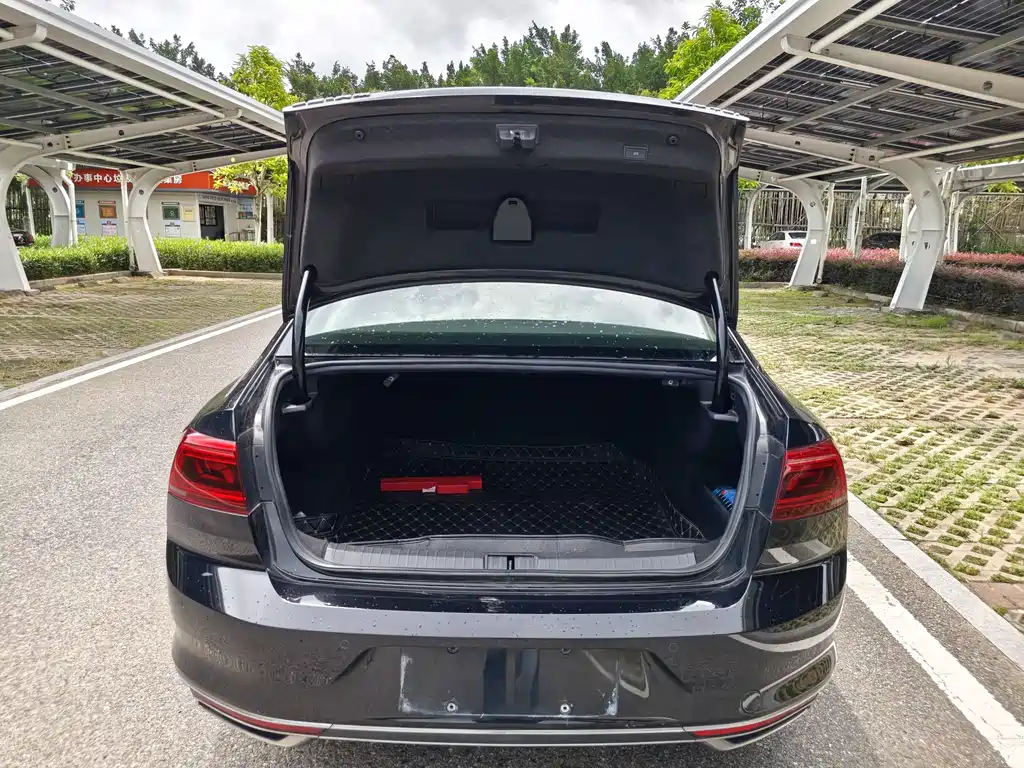 Magotan 2020 330TSI DSG Luxury Edition