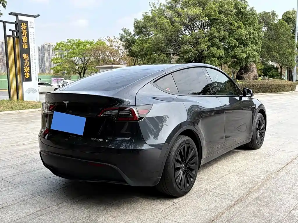Model Y 2024 Rear-Wheel Drive Edition