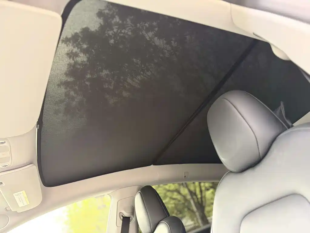 Model Y 2024 Rear-Wheel Drive Edition