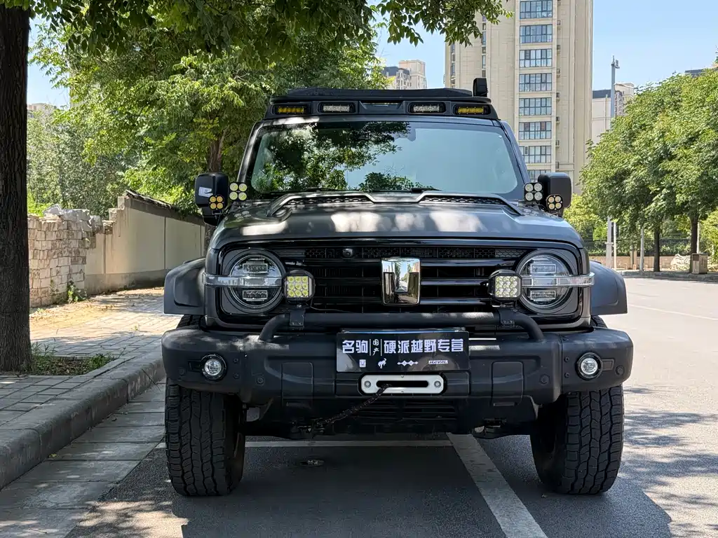 TANK 300 2024 Model 330 3.0T V6