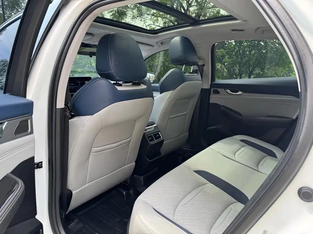 Starry 2021 2.0TD Prestige Edition