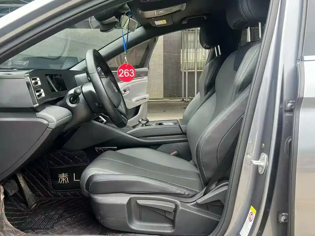 Qin L 2024 DM-i 80KM Leading Edition