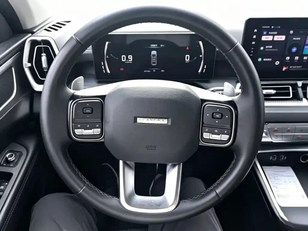 Haval H5 2023 2.0T Automatic 4WD Lingyin Gasoline