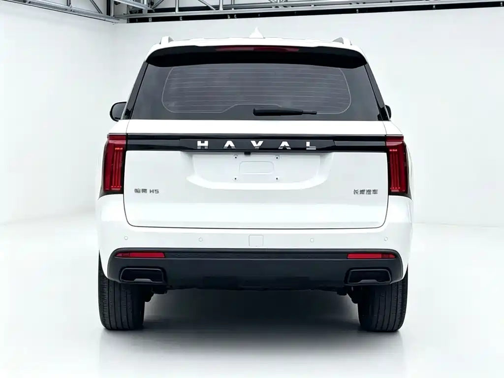 Haval H5 2023 2.0T Automatic 4WD Lingyin Gasoline