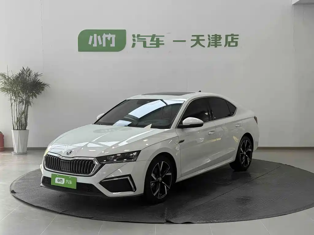 Volkswagen Magotan 2022 PRO TSI280 Luxury Edition