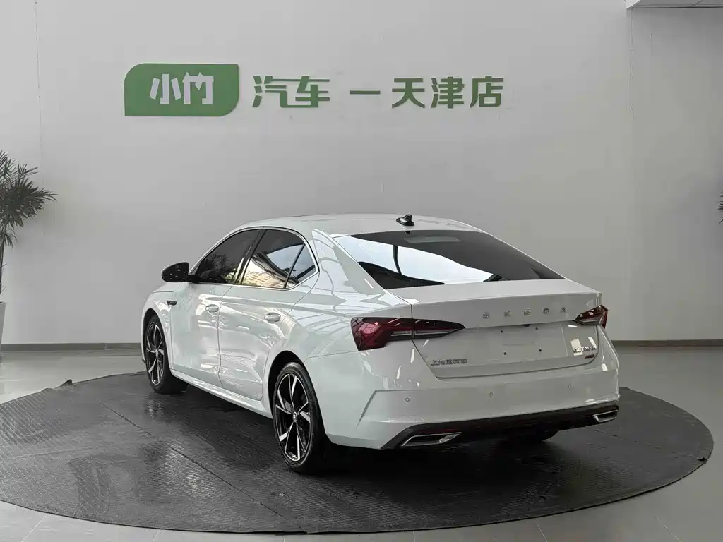 Volkswagen Magotan 2022 PRO TSI280 Luxury Edition