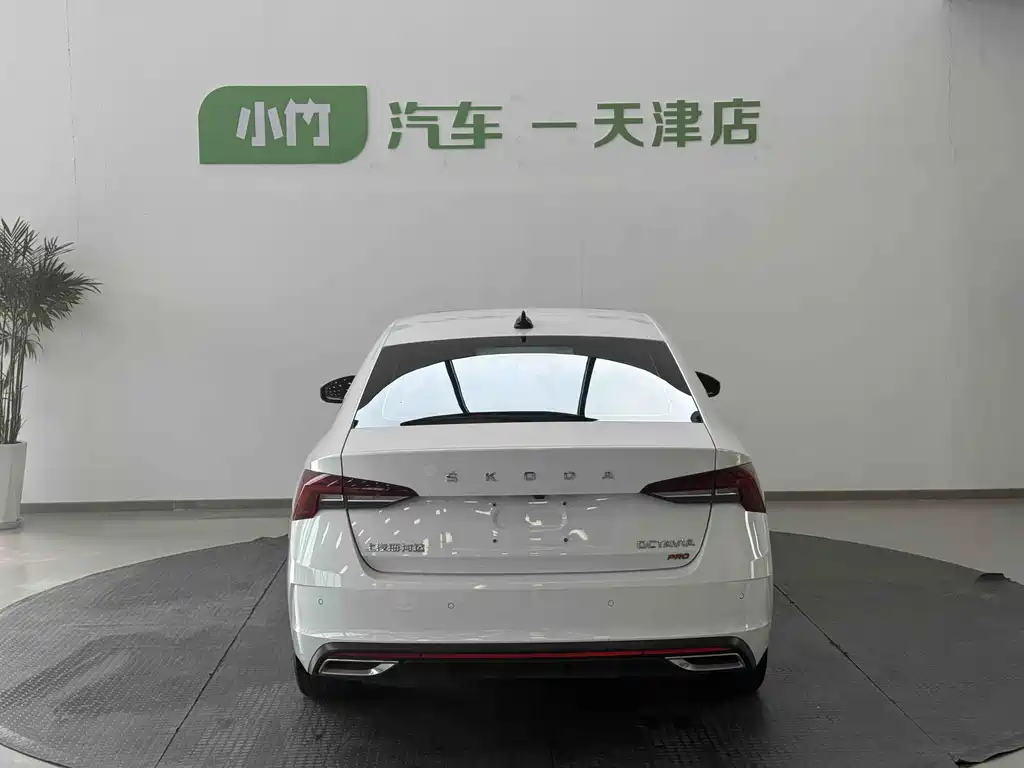 Volkswagen Magotan 2022 PRO TSI280 Luxury Edition