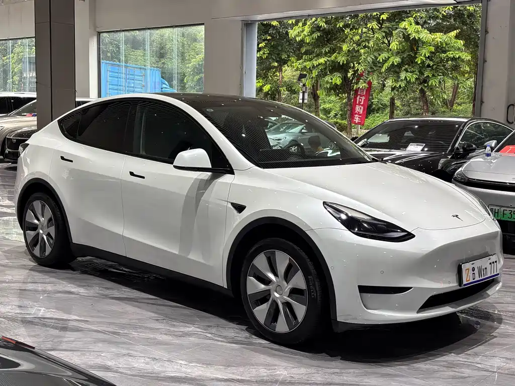 Model Y 2022 Rear-Wheel Drive Edition