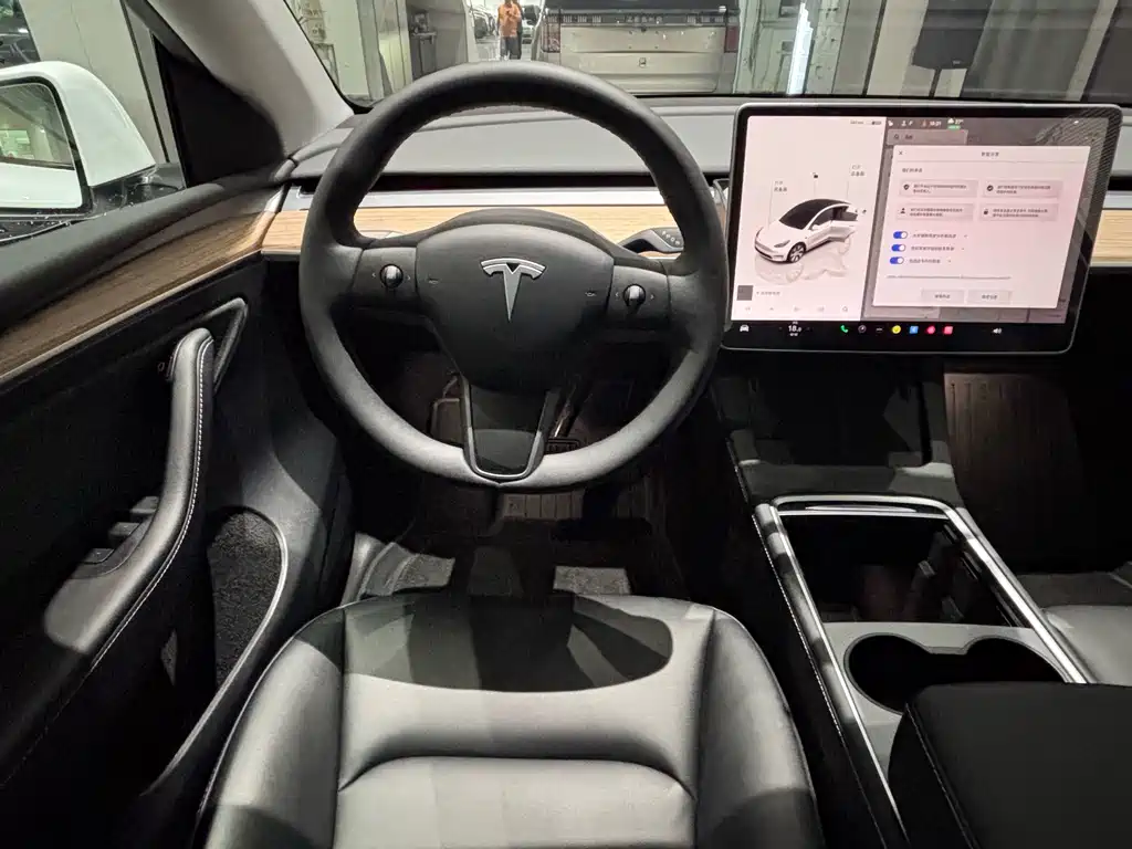 Model Y 2022 Rear-Wheel Drive Edition