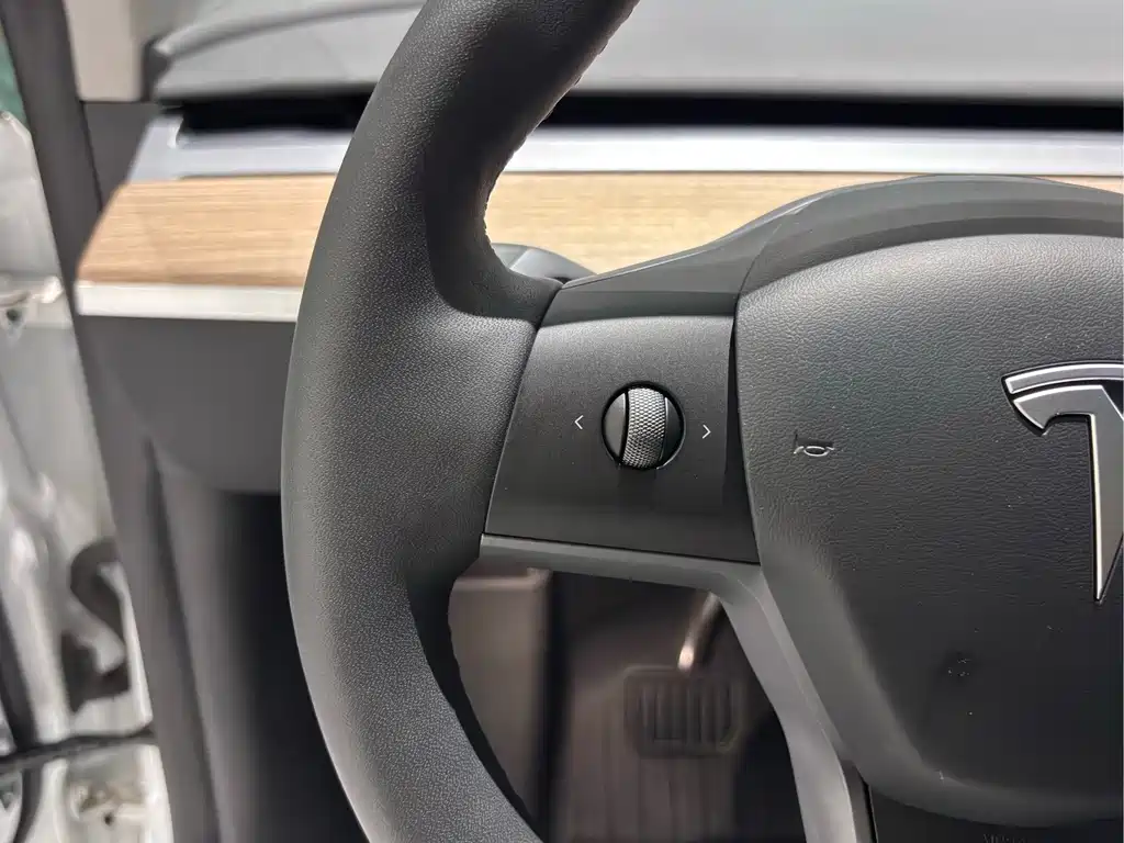 Model Y 2022 Rear-Wheel Drive Edition