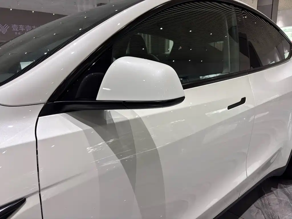 Model Y 2022 Rear-Wheel Drive Edition