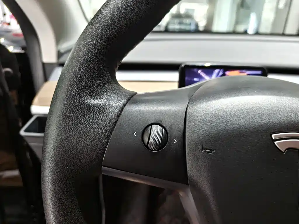 Model Y 2022 Rear-Wheel Drive Edition