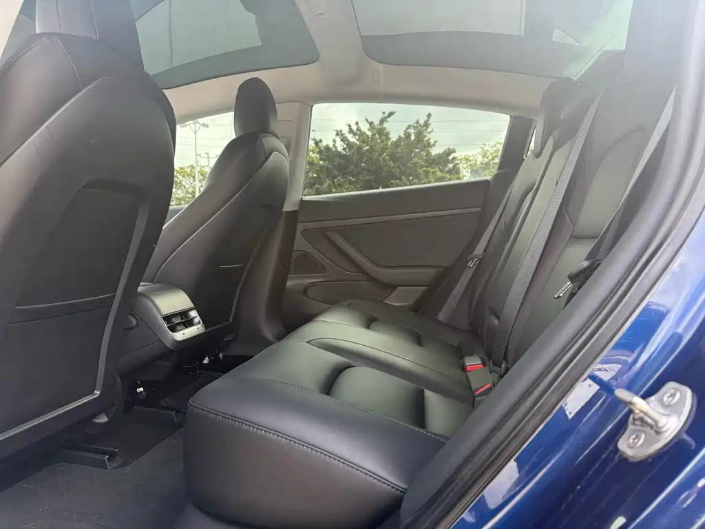Model 3 Long Range Rear-Wheel Drive 2020款