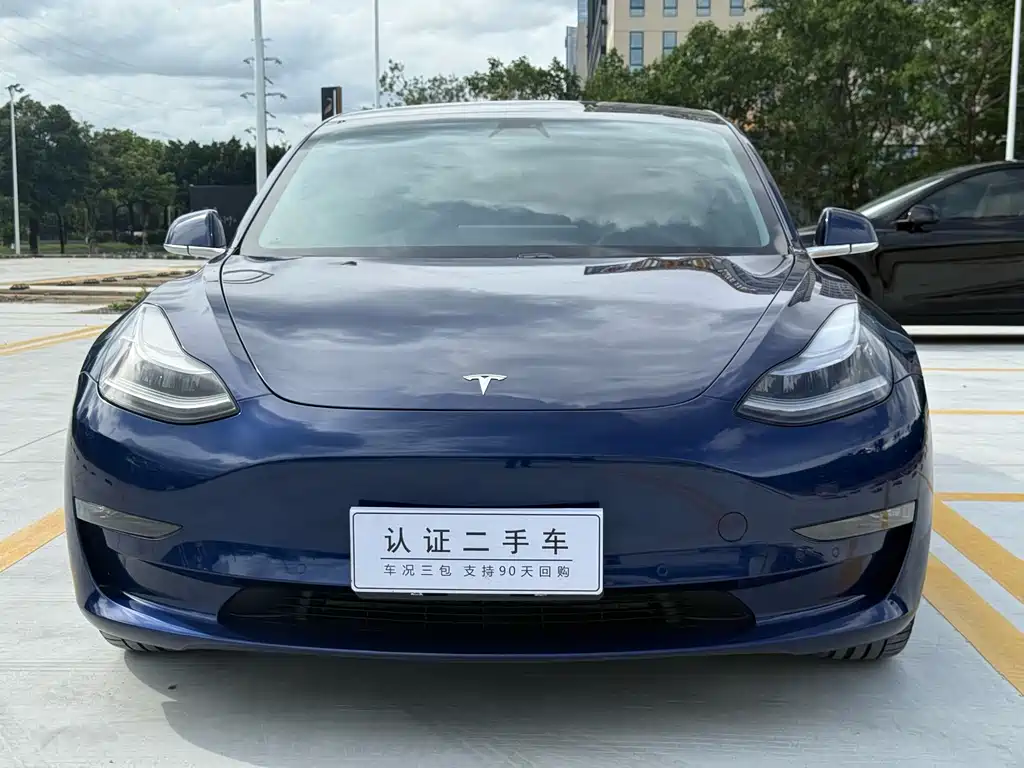 Model 3 Long Range Rear-Wheel Drive 2020款
