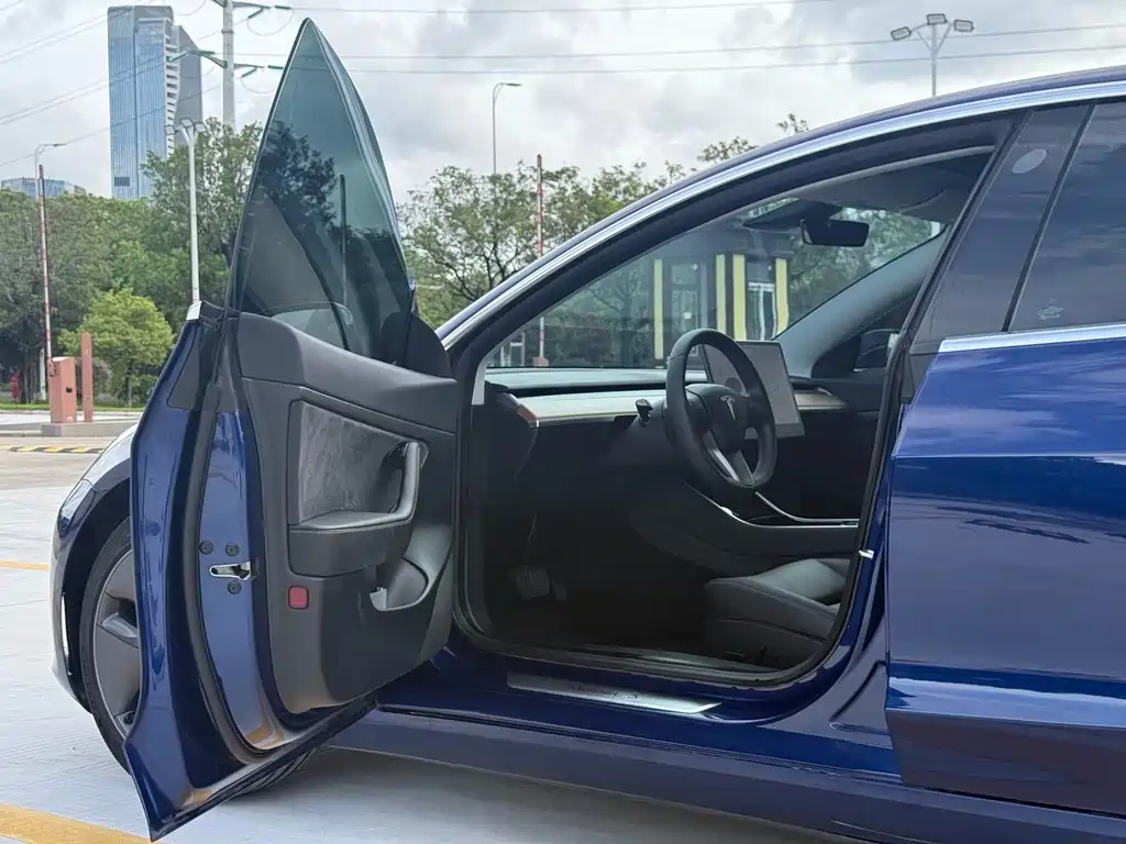 Model 3 Long Range Rear-Wheel Drive 2020款