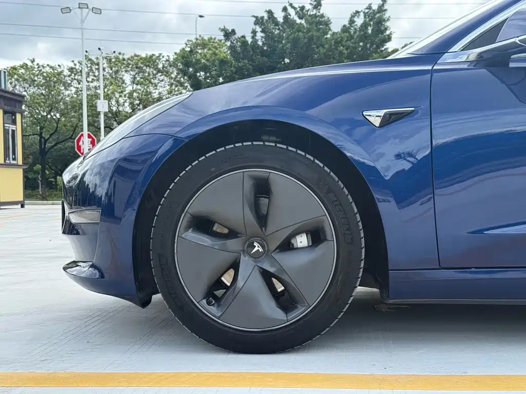 Model 3 Long Range Rear-Wheel Drive 2020款