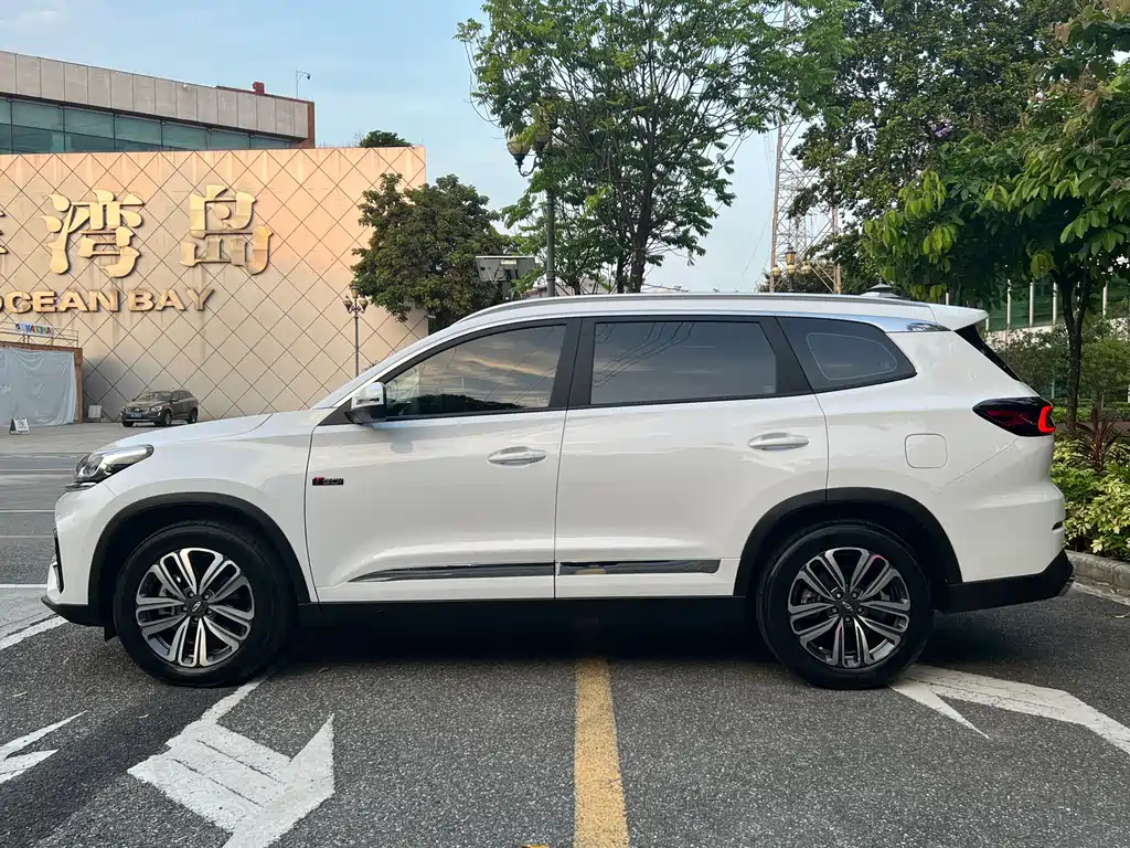 Ruihu 8 2021款 Kunpeng Edition 390TGDI Automatic Zhufeng Version