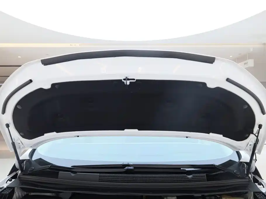 2025 Century 2.0T Six-Seater Yunshe Edition