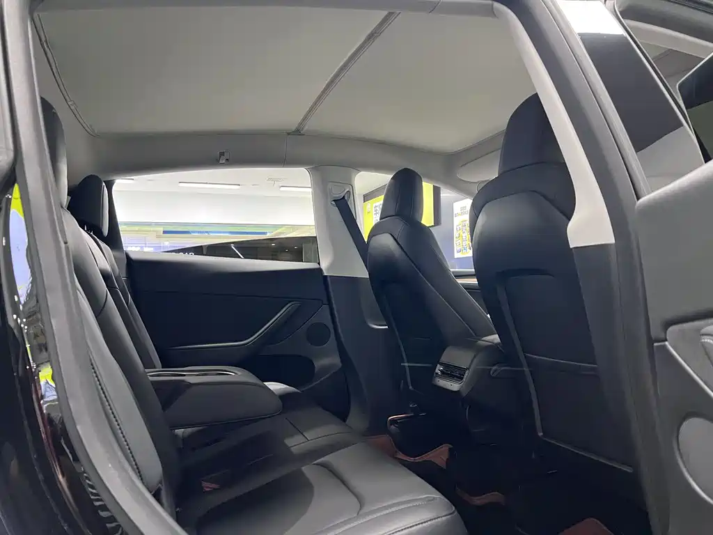 Model Y 2021 Standard Range Rear-Wheel Drive Edition