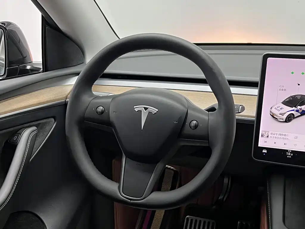 Model Y 2021 Standard Range Rear-Wheel Drive Edition