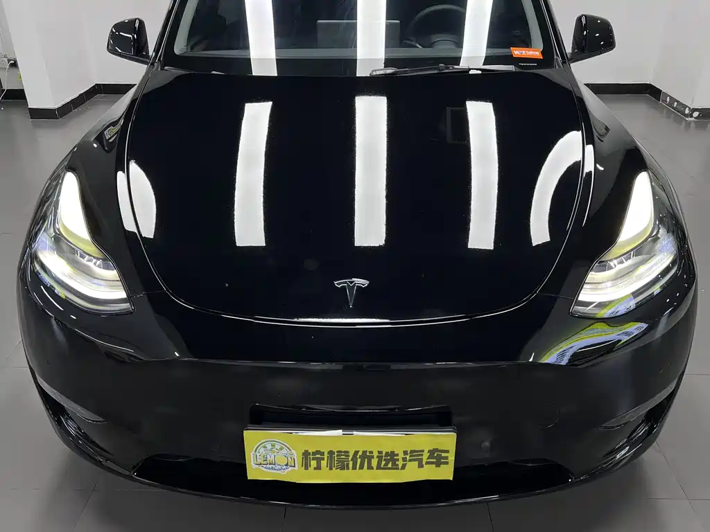 Model Y 2021 Standard Range Rear-Wheel Drive Edition