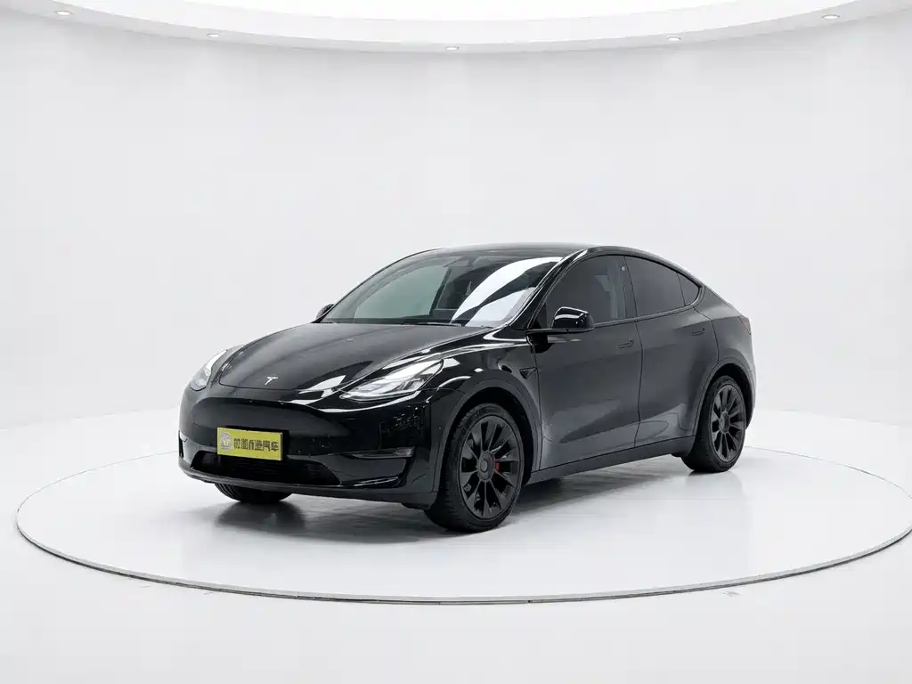Model Y 2021 Standard Range Rear-Wheel Drive Edition