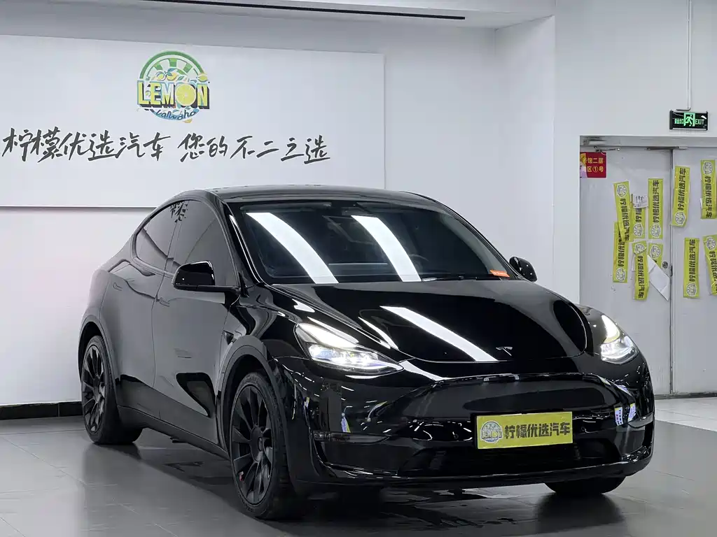 Model Y 2021 Standard Range Rear-Wheel Drive Edition