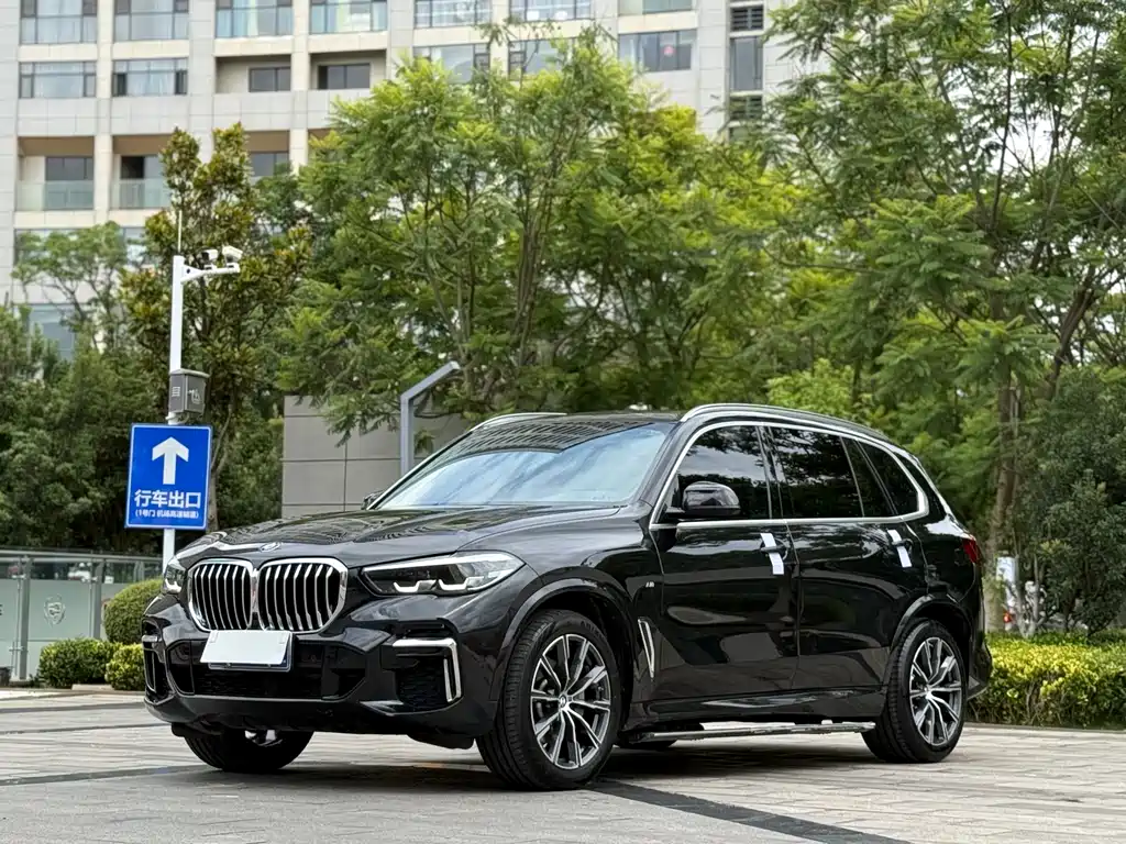 BMW X5 2022 xDrive 30Li M Sport Package